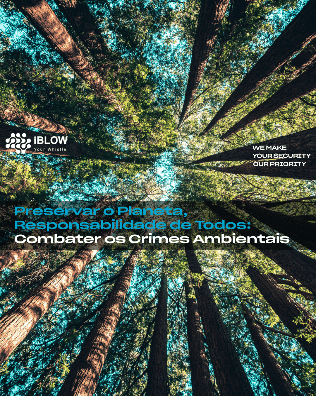 Precisamos da ajuda de todos para fazer crescer uma mensagem de sensibilização para os crimes ambientais, salientando os impactos negativos da poluição intencional e do desrespeito pelas normas ambientais. Incentivar as empresas a adotar práticas sustentáveis e responsáveis.