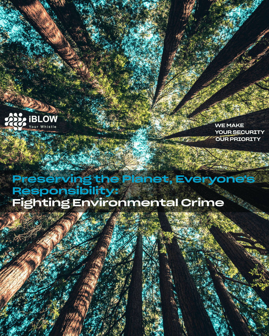 We need everyone's help to raise awareness of environmental crime, highlighting the negative impacts of intentional pollution and disregard for environmental standards. Encourage companies to adopt sustainable and responsible practices.